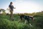 Preview: Ruffwear Hi & Light Harness Basalt Gray Gr. L/XL Preview: Ruffwear Hi & Light Harness Basalt Gray Gr. L/XL